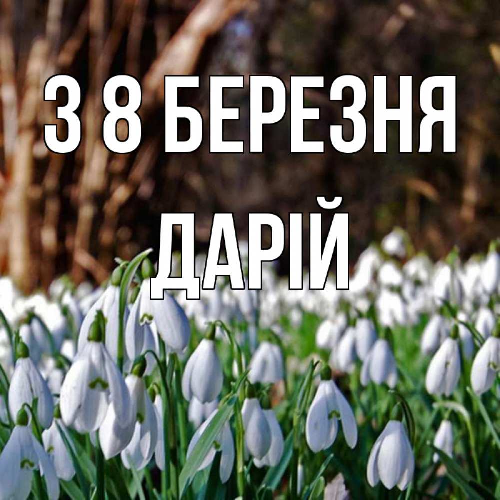 Открытка на каждый день з підписом, Дарій З 8 БЕРЕЗНЯ с подснежниками 1 Прикольна листівка з побажанням онлайн скачати безкоштовно 