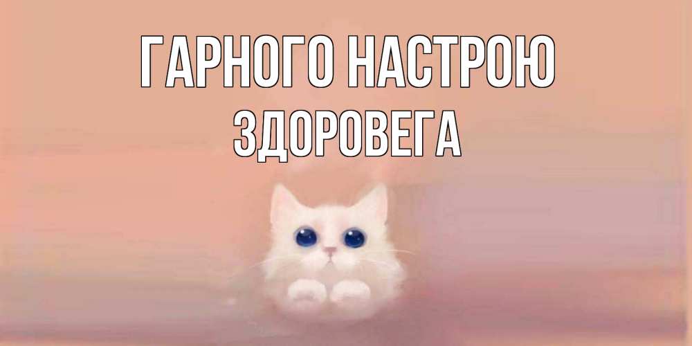 Открытка на каждый день з підписом, Здоровега Гарного настрою кошка Прикольна листівка з побажанням онлайн скачати безкоштовно 