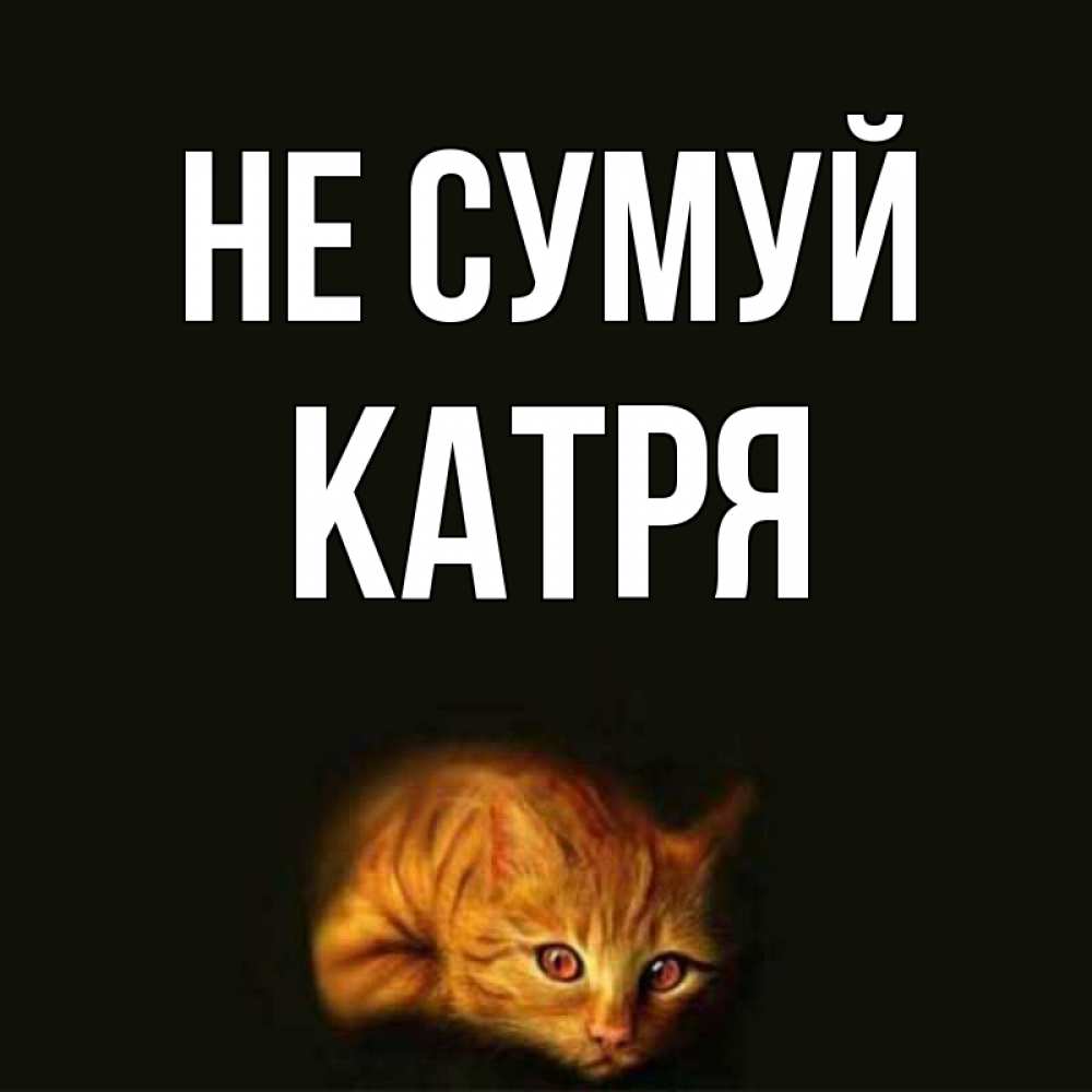 Открытка на каждый день з підписом, Катря Не сумуй лежащий кот в темноте Прикольна листівка з побажанням онлайн скачати безкоштовно 
