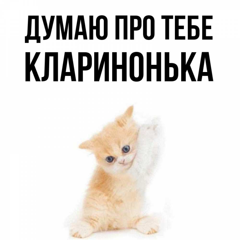 Открытка на каждый день з підписом, Кларинонька Думаю про тебе зверушки и милота Прикольна листівка з побажанням онлайн скачати безкоштовно 