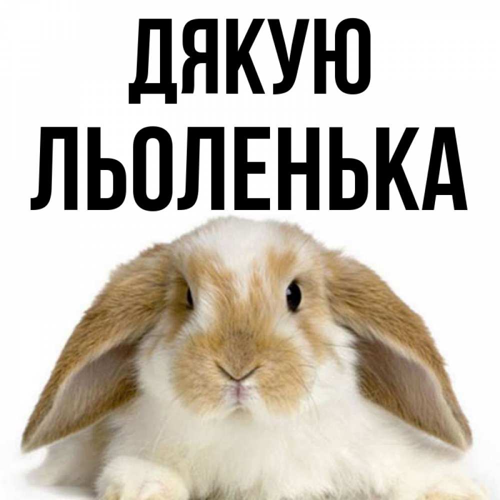 Открытка на каждый день з підписом, Льоленька Дякую коричнево белый заяц Прикольна листівка з побажанням онлайн скачати безкоштовно 