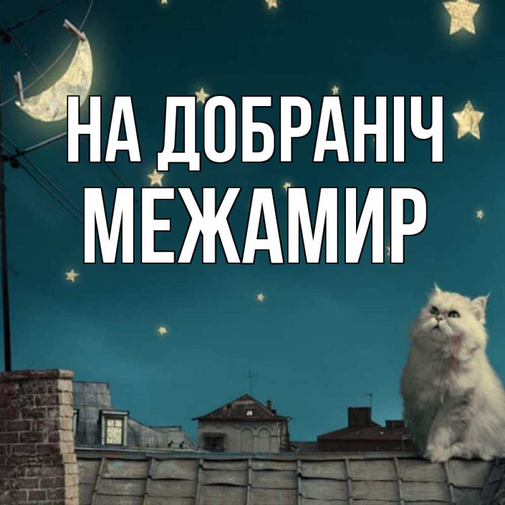 Открытка на каждый день з підписом, Межамир На добраніч белый кот сидит на крыше Прикольна листівка з побажанням онлайн скачати безкоштовно 