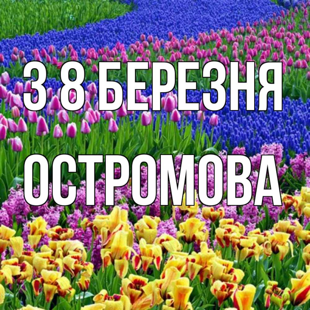 Открытка на каждый день з підписом, Остромова З 8 БЕРЕЗНЯ цветы Прикольна листівка з побажанням онлайн скачати безкоштовно 