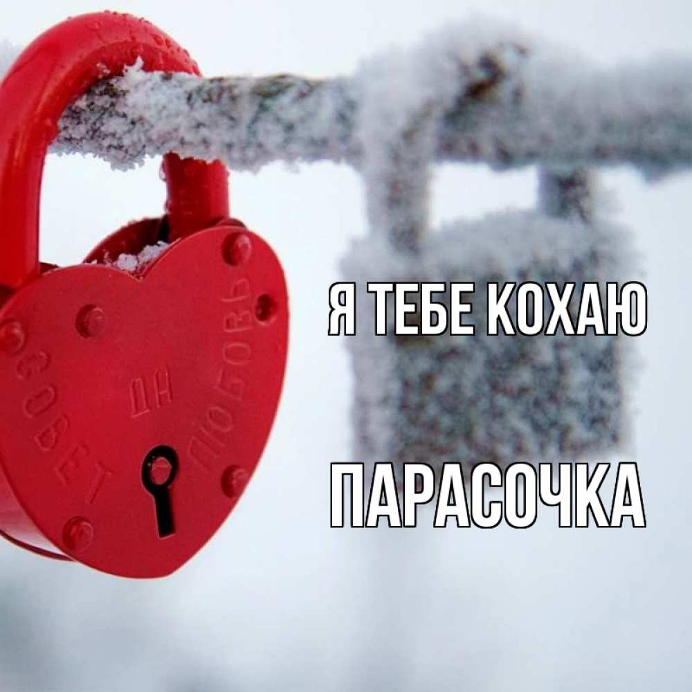 Открытка на каждый день з підписом, Парасочка Я тебе кохаю любви Прикольна листівка з побажанням онлайн скачати безкоштовно 