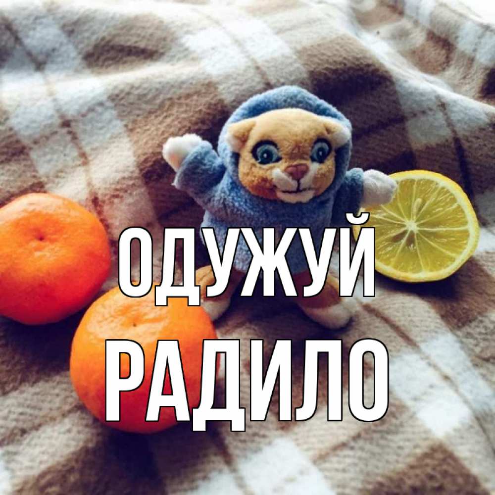 Открытка на каждый день з підписом, Радило Одужуй вот тебе апельсинка и лимон Прикольна листівка з побажанням онлайн скачати безкоштовно 