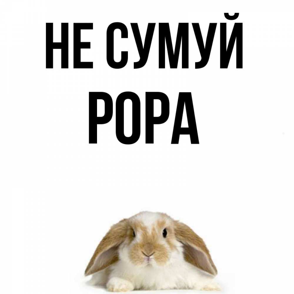 Открытка на каждый день з підписом, Рора Не сумуй коричнево белый заяц с большими ушками Прикольна листівка з побажанням онлайн скачати безкоштовно 