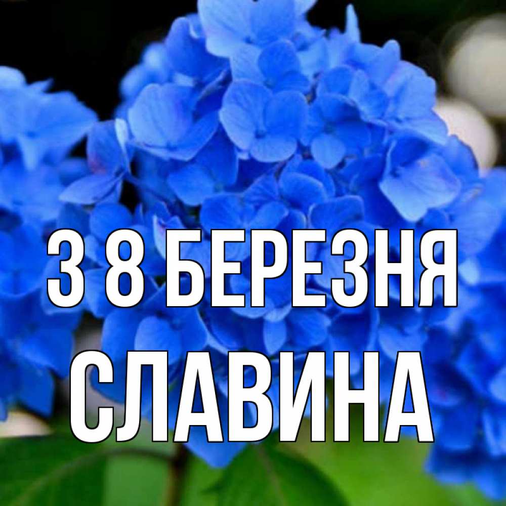 Открытка на каждый день з підписом, Славина З 8 БЕРЕЗНЯ синие цветы Прикольна листівка з побажанням онлайн скачати безкоштовно 