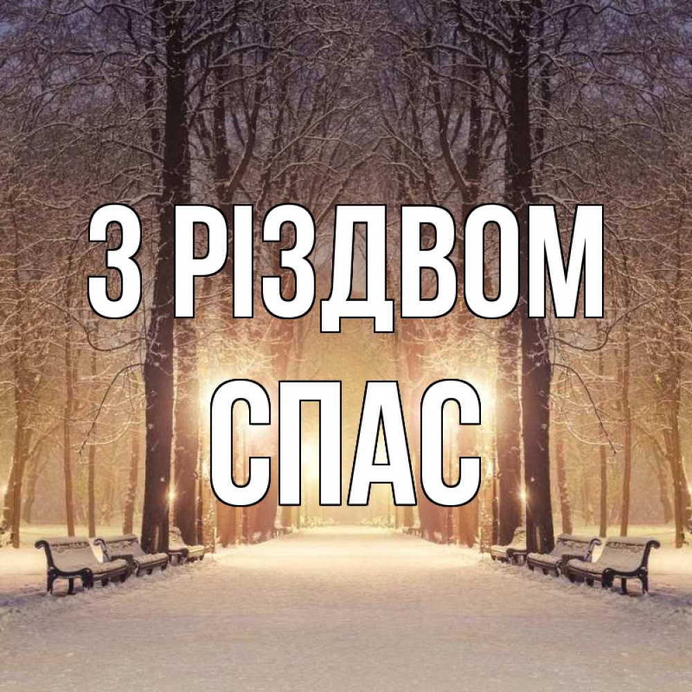 Открытка на каждый день з підписом, Спас З Різдвом зима, парк, фонарь, лес Прикольна листівка з побажанням онлайн скачати безкоштовно 