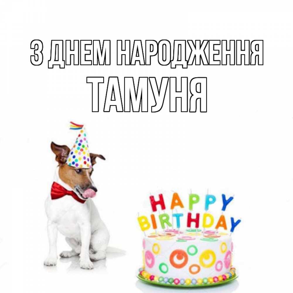 Открытка на каждый день з підписом, Тамуня З Днем народження праздник Прикольна листівка з побажанням онлайн скачати безкоштовно 