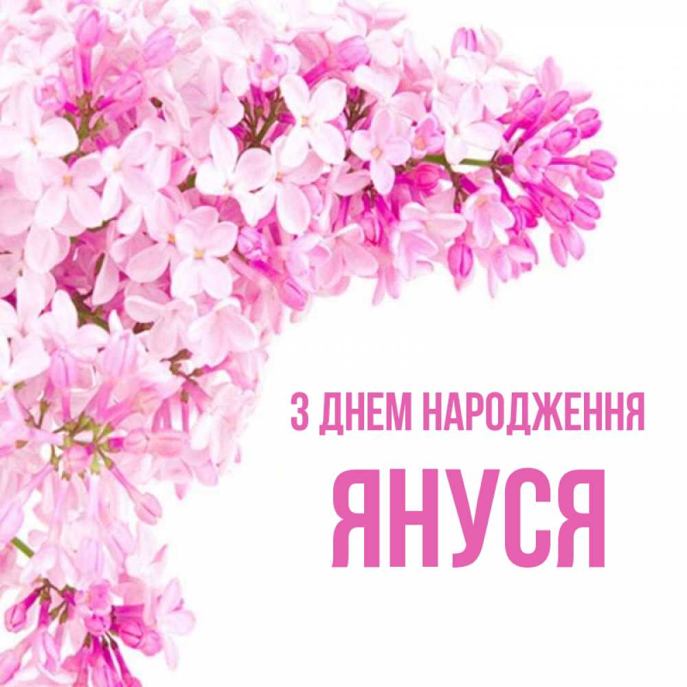 Открытка на каждый день з підписом, Януся З Днем народження Сирень на белом фоне Прикольна листівка з побажанням онлайн скачати безкоштовно 