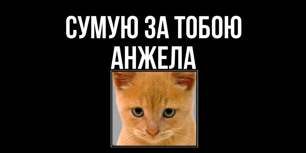 Открытка на каждый день з підписом, Анжела Сумую за тобою открытки рыжий котенок скучает по тебе Прикольна листівка з побажанням онлайн скачати безкоштовно 