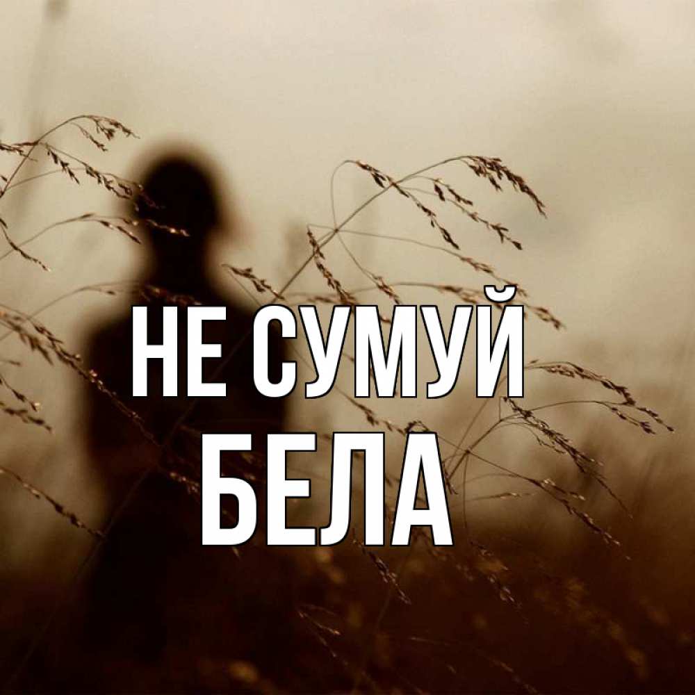 Открытка на каждый день з підписом, Бела Не сумуй грусть Прикольна листівка з побажанням онлайн скачати безкоштовно 