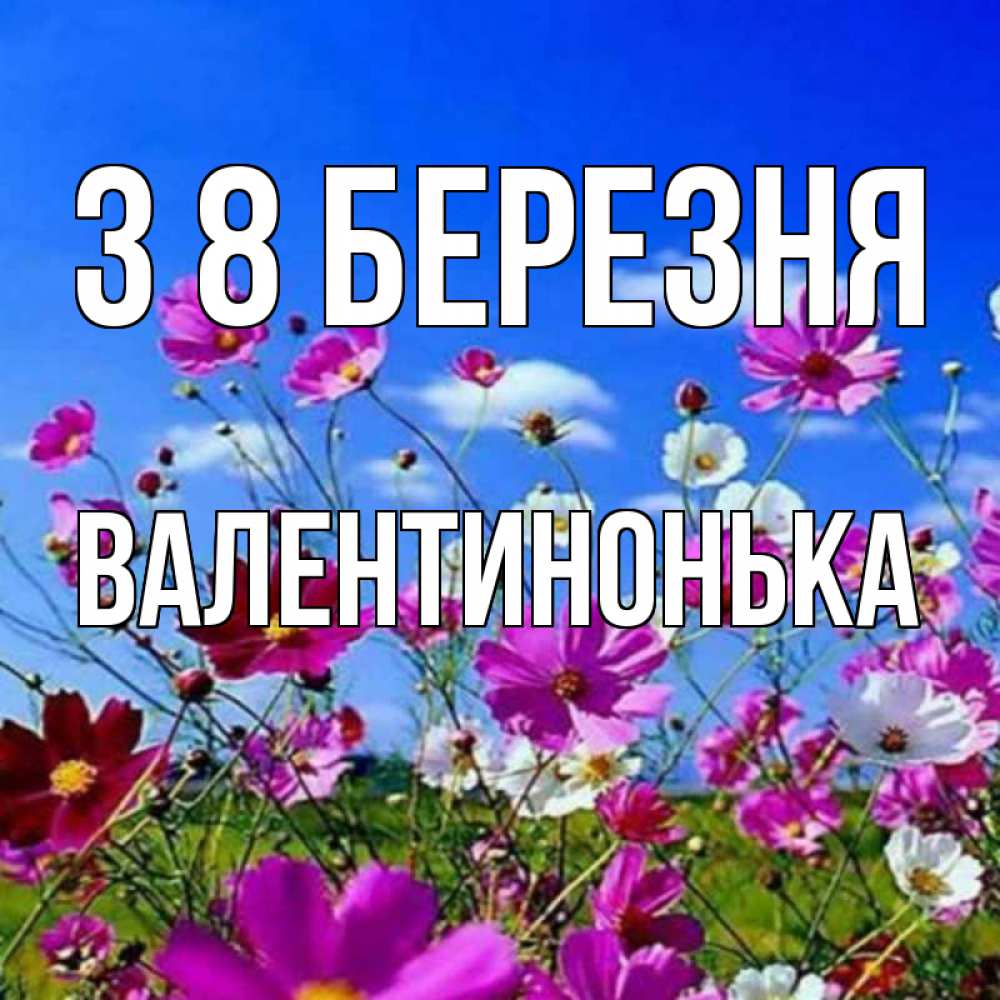 Открытка на каждый день з підписом, Валентинонька З 8 БЕРЕЗНЯ цветы Прикольна листівка з побажанням онлайн скачати безкоштовно 