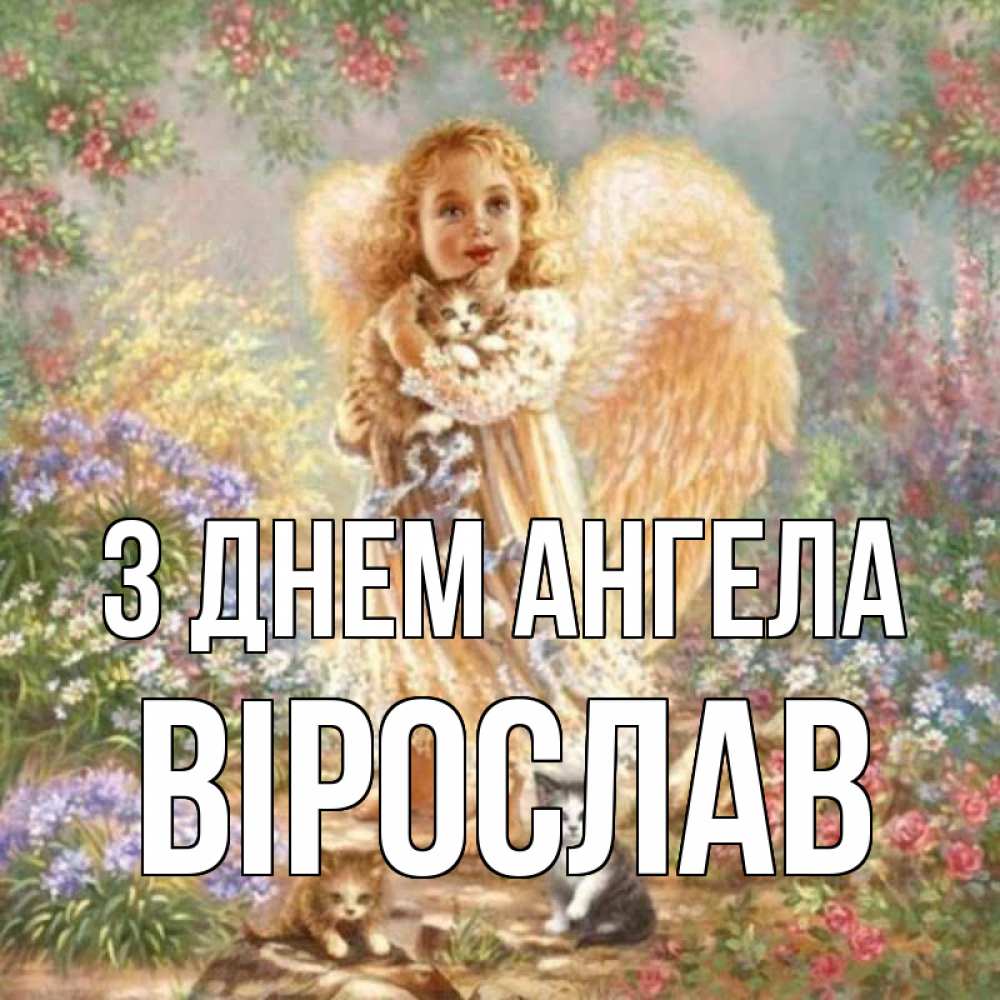 Открытка на каждый день з підписом, Вірослав З Днем ангела держит котенка Прикольна листівка з побажанням онлайн скачати безкоштовно 