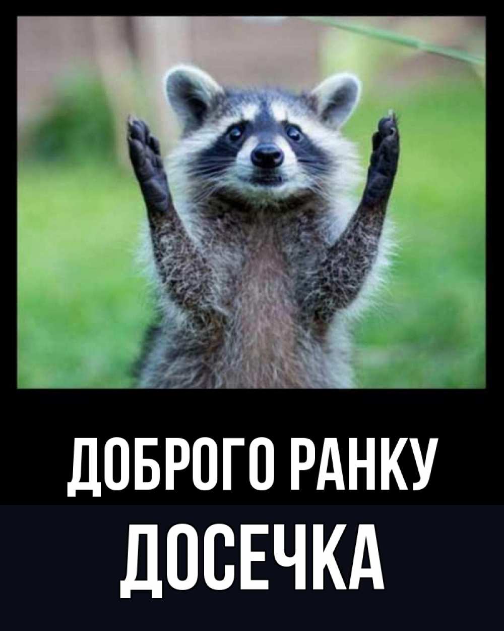 Открытка на каждый день з підписом, Досечка Доброго ранку хорошее настроение утречком Прикольна листівка з побажанням онлайн скачати безкоштовно 