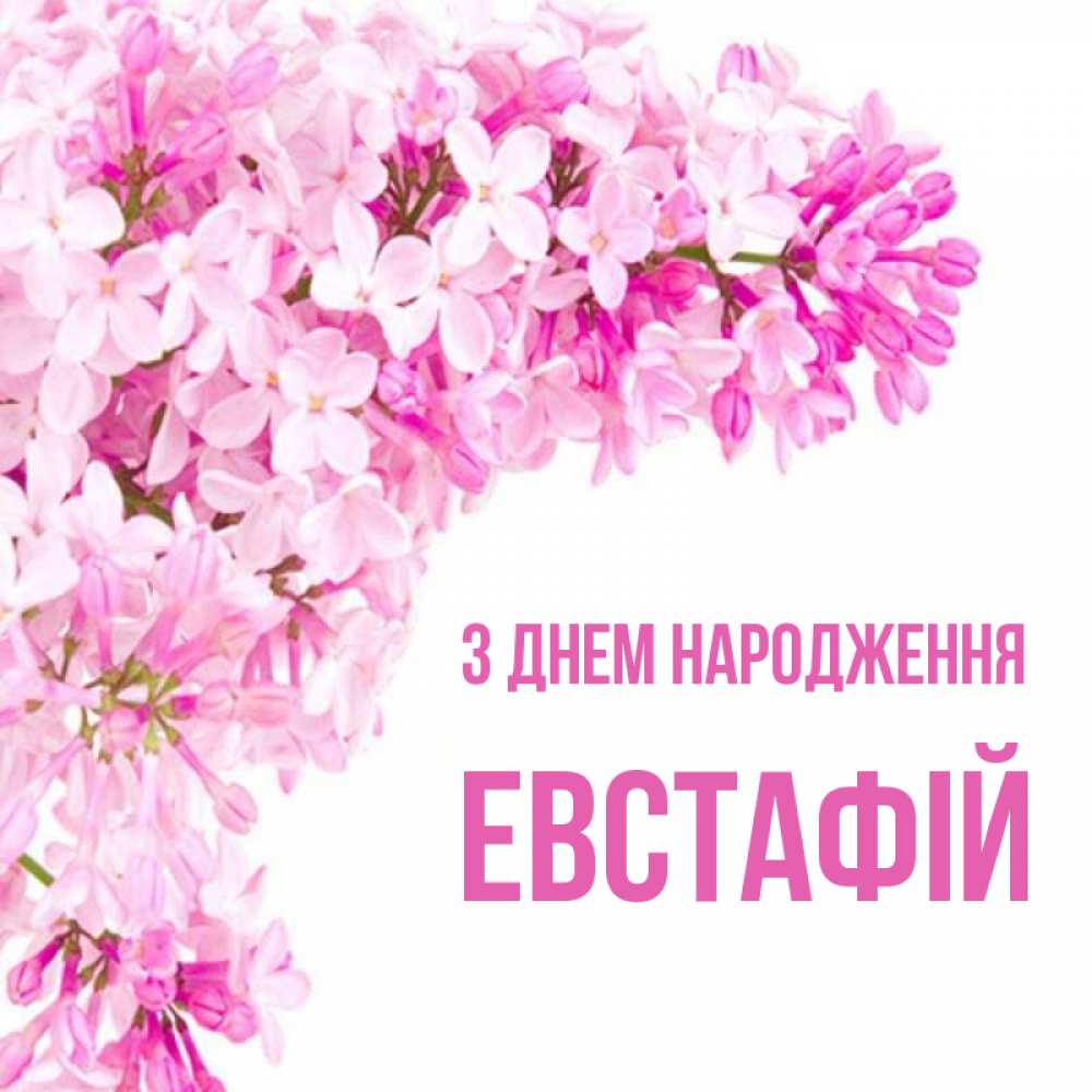 Открытка на каждый день з підписом, Евстафій З Днем народження Сирень на белом фоне Прикольна листівка з побажанням онлайн скачати безкоштовно 