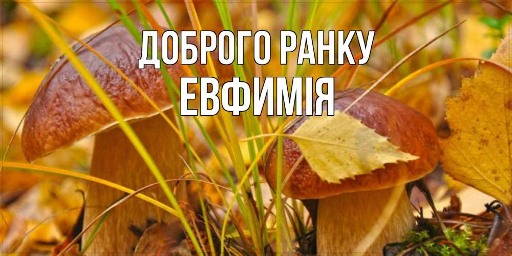 Открытка на каждый день з підписом, Евфимiя Доброго ранку осенние грибы Прикольна листівка з побажанням онлайн скачати безкоштовно 