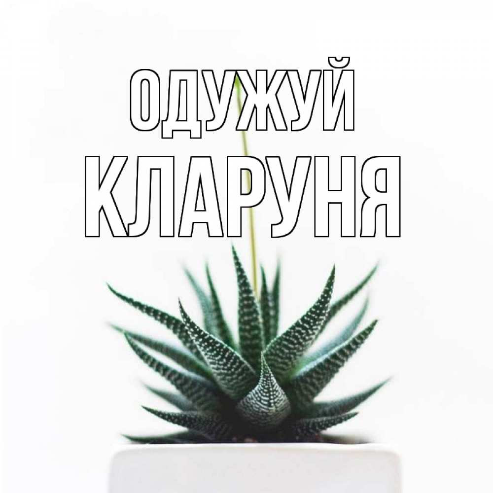 Открытка на каждый день з підписом, Кларуня Одужуй короче это непонятная колючка Прикольна листівка з побажанням онлайн скачати безкоштовно 