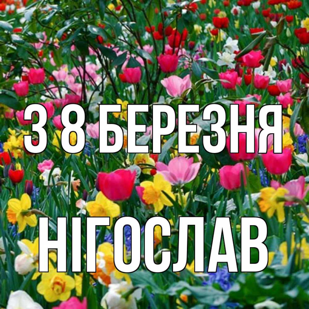 Открытка на каждый день з підписом, Нігослав З 8 БЕРЕЗНЯ с международным женским днем поздравления для женщины Прикольна листівка з побажанням онлайн скачати безкоштовно 