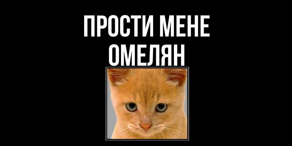 Открытка на каждый день з підписом, Омелян Прости мене рыжий грустный кот просит прощения Прикольна листівка з побажанням онлайн скачати безкоштовно 