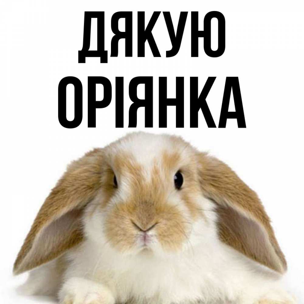 Открытка на каждый день з підписом, Оріянка Дякую коричнево белый заяц Прикольна листівка з побажанням онлайн скачати безкоштовно 