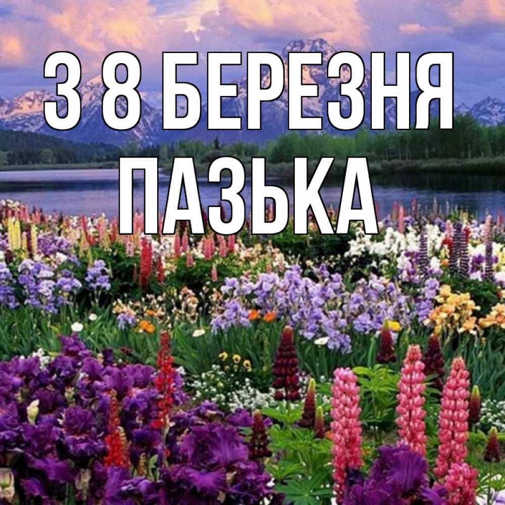 Открытка на каждый день з підписом, Пазька З 8 БЕРЕЗНЯ международный женский день Прикольна листівка з побажанням онлайн скачати безкоштовно 