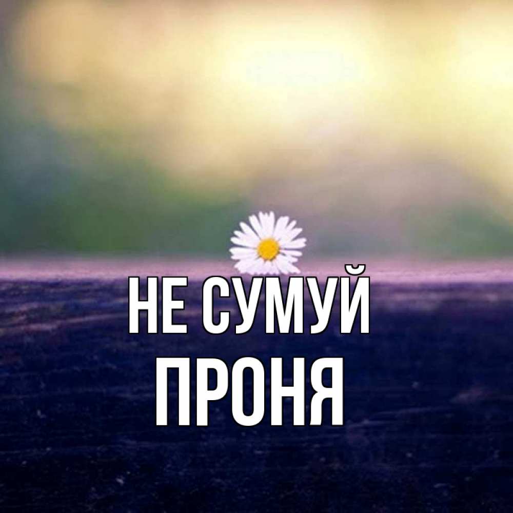 Открытка на каждый день з підписом, Проня Не сумуй красота Прикольна листівка з побажанням онлайн скачати безкоштовно 