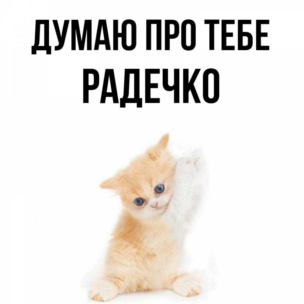 Открытка на каждый день з підписом, Радечко Думаю про тебе зверушки и милота Прикольна листівка з побажанням онлайн скачати безкоштовно 