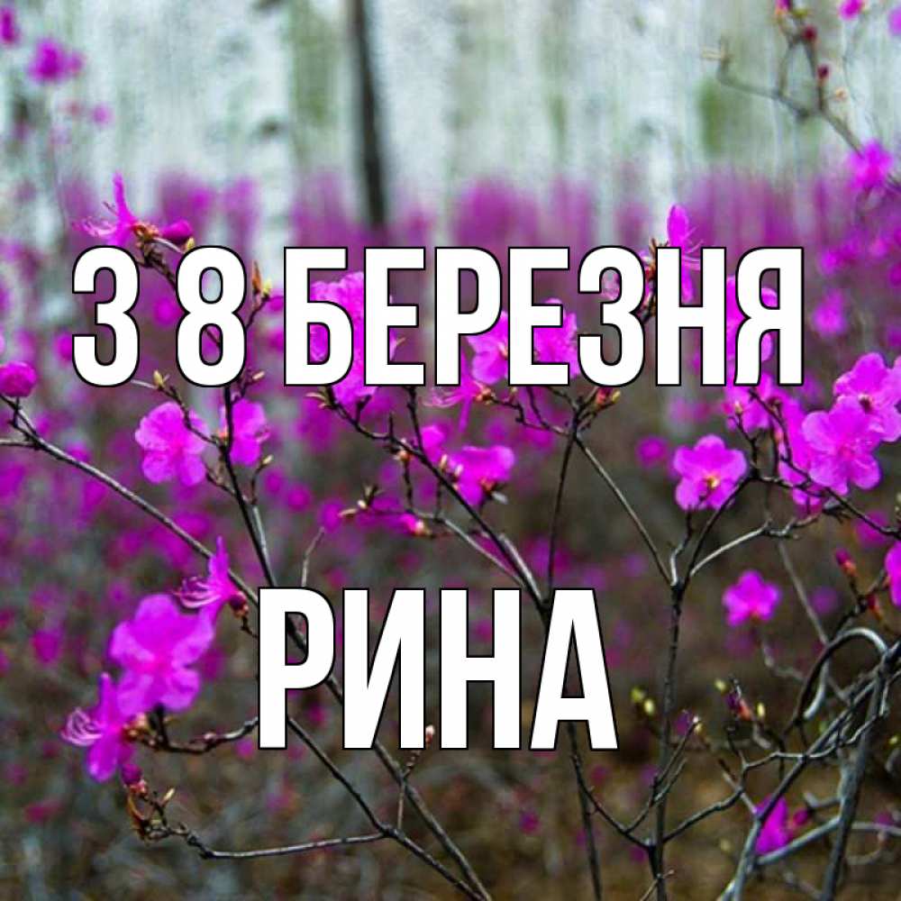 Открытка на каждый день з підписом, Рина З 8 БЕРЕЗНЯ дикие цветы Прикольна листівка з побажанням онлайн скачати безкоштовно 