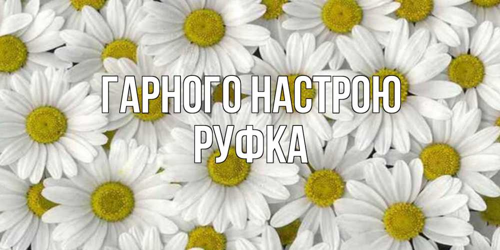 Открытка на каждый день з підписом, Руфка Гарного настрою поляна ромашек Прикольна листівка з побажанням онлайн скачати безкоштовно 