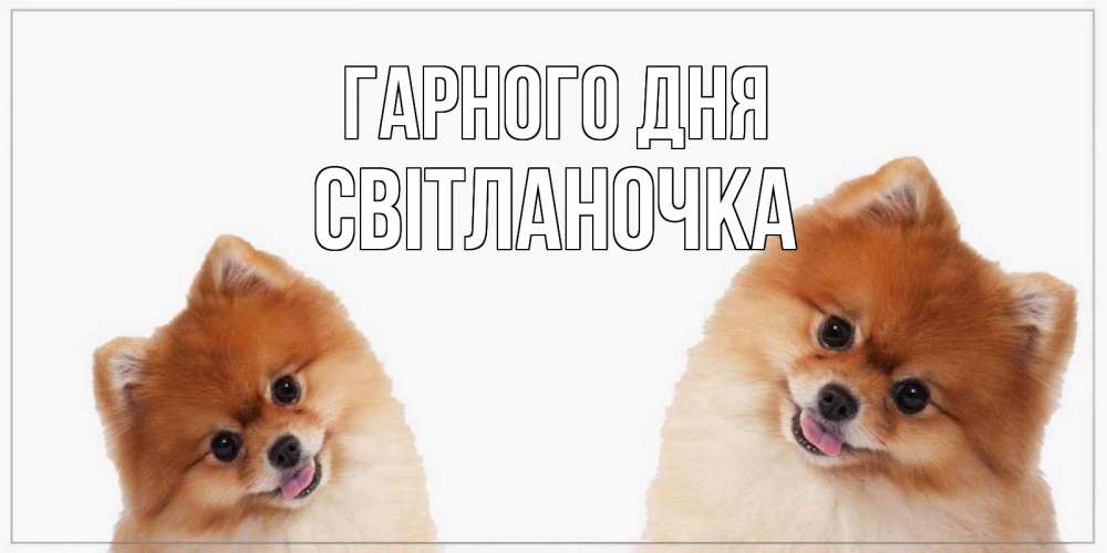 Открытка на каждый день з підписом, Світланочка Гарного дня собачки желают прекрасного дня Прикольна листівка з побажанням онлайн скачати безкоштовно 