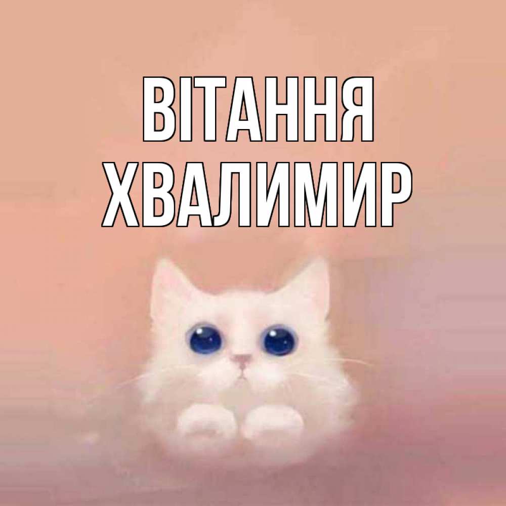 Открытка на каждый день з підписом, Хвалимир Вітання котик белый в полете Прикольна листівка з побажанням онлайн скачати безкоштовно 