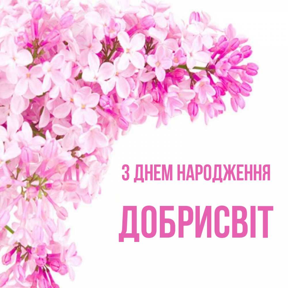 Открытка на каждый день з підписом, Добрисвіт З Днем народження Сирень на белом фоне Прикольна листівка з побажанням онлайн скачати безкоштовно 
