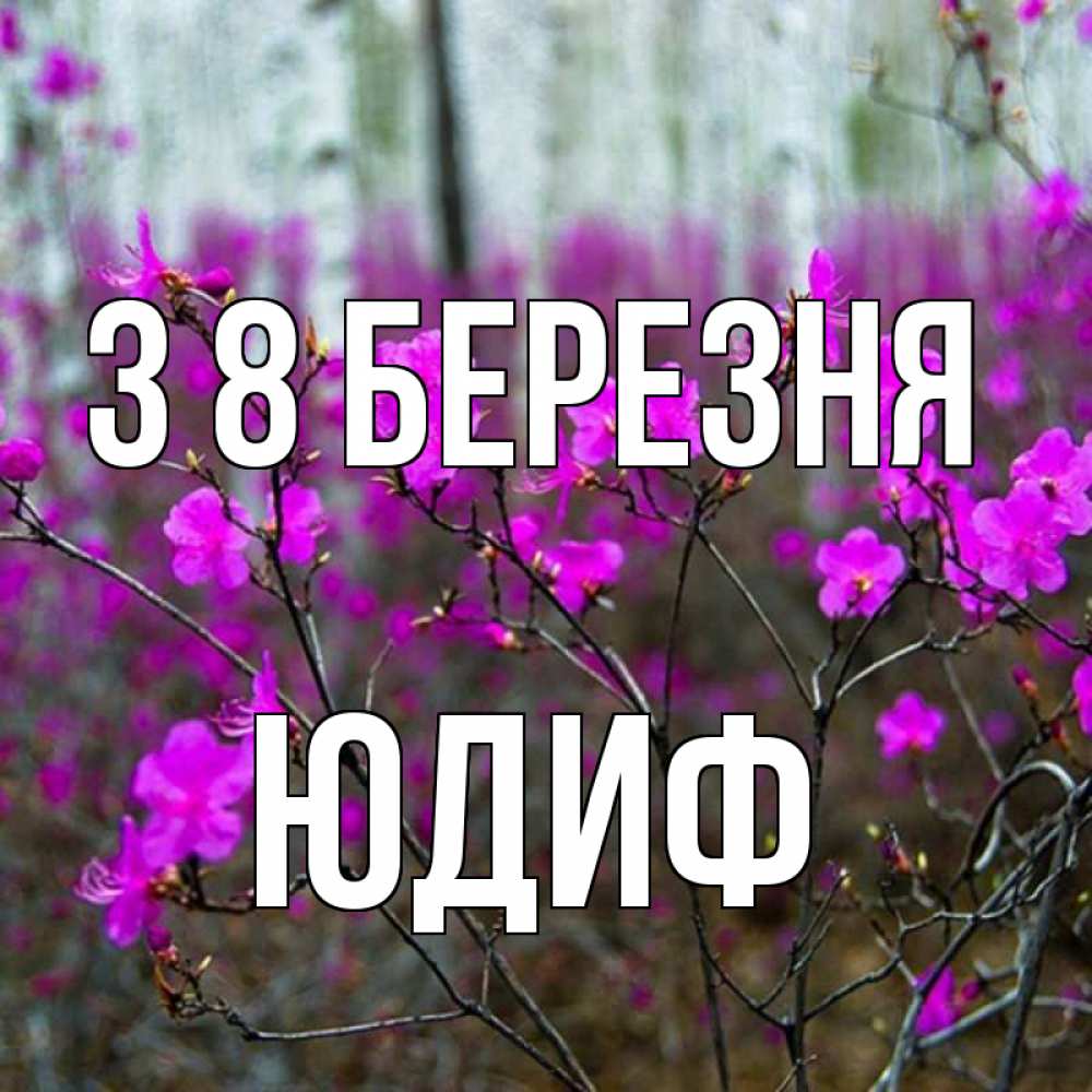 Открытка на каждый день з підписом, Юдиф З 8 БЕРЕЗНЯ дикие цветы Прикольна листівка з побажанням онлайн скачати безкоштовно 