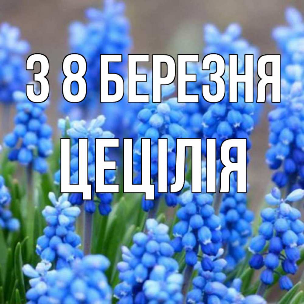 Открытка на каждый день з підписом, Цецілія З 8 БЕРЕЗНЯ Поздравительная открытка для женщин с цветами на праздничную дату Прикольна листівка з побажанням онлайн скачати безкоштовно 