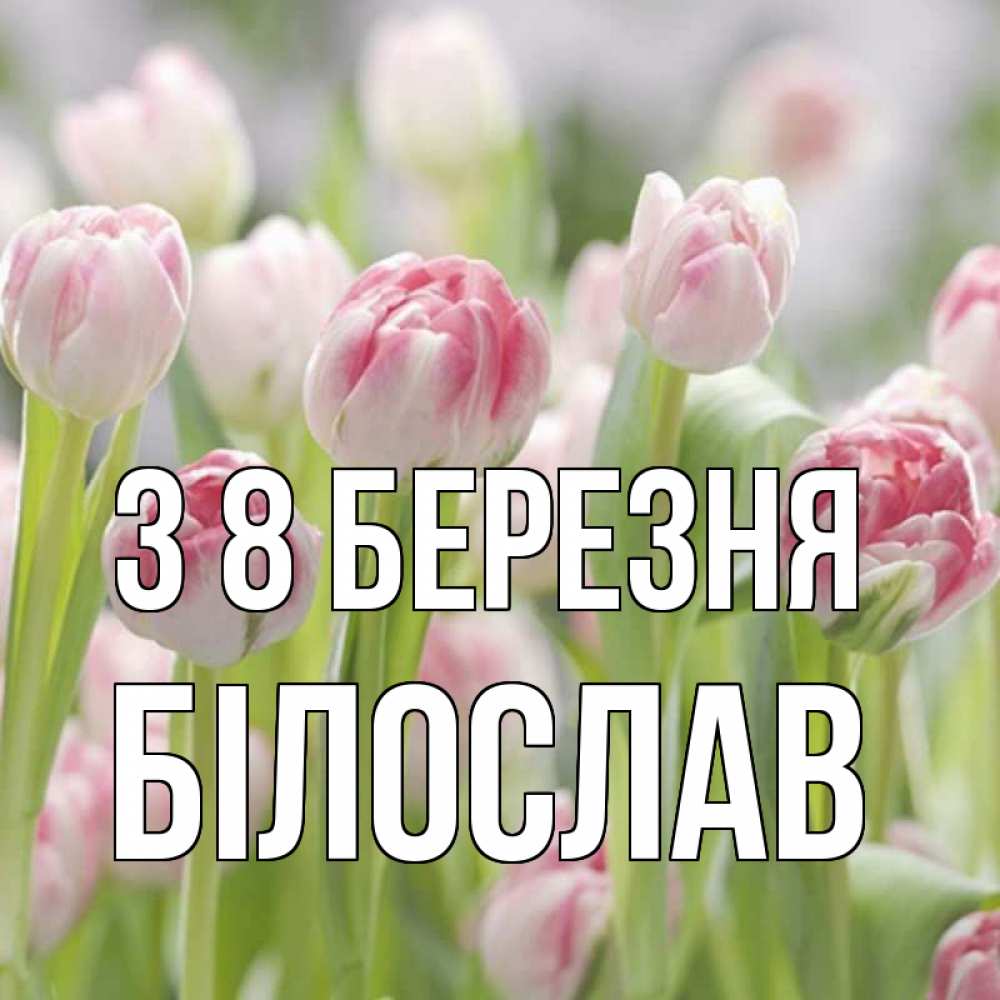 Открытка на каждый день з підписом, Білослав З 8 БЕРЕЗНЯ цветы Прикольна листівка з побажанням онлайн скачати безкоштовно 