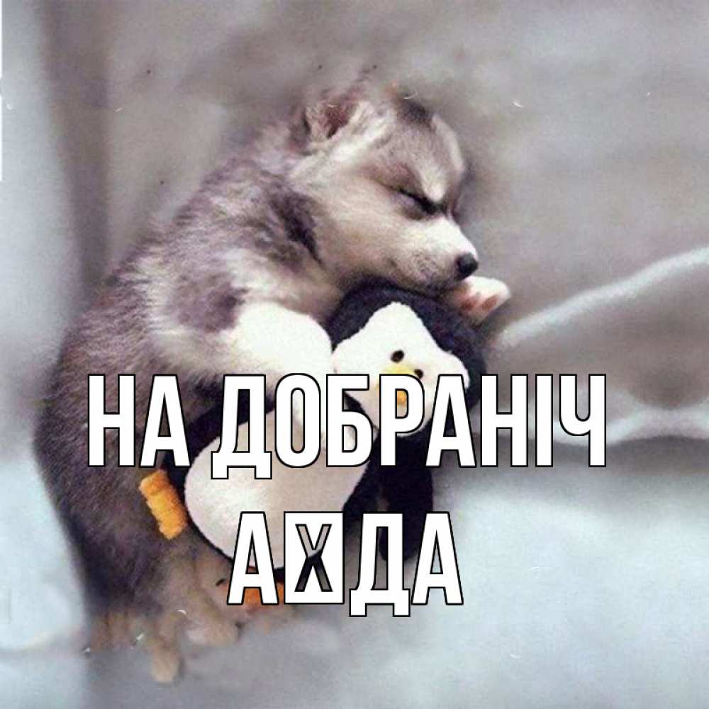 Открытка на каждый день з підписом, Аїда На добраніч обнимашки щенка и пингвина Прикольна листівка з побажанням онлайн скачати безкоштовно 