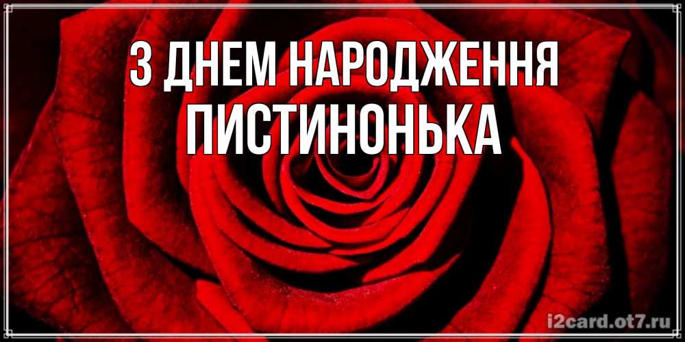Открытка на каждый день з підписом, Пистинонька З Днем народження алая роза Прикольна листівка з побажанням онлайн скачати безкоштовно 