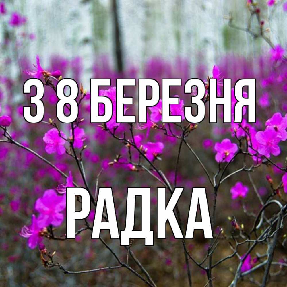 Открытка на каждый день з підписом, Радка З 8 БЕРЕЗНЯ дикие цветы Прикольна листівка з побажанням онлайн скачати безкоштовно 