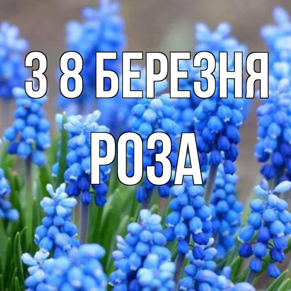 Открытка на каждый день з підписом, Роза З 8 БЕРЕЗНЯ Поздравительная открытка для женщин с цветами на праздничную дату Прикольна листівка з побажанням онлайн скачати безкоштовно 