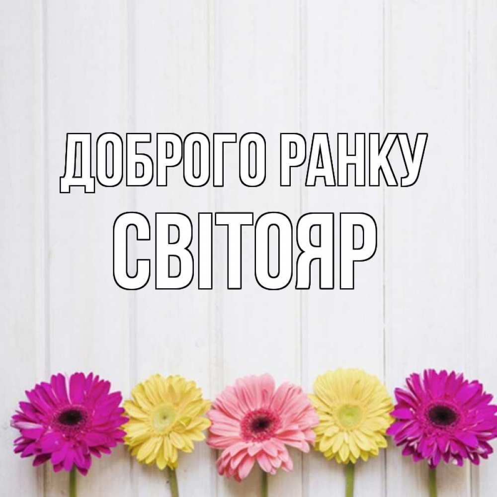 Открытка на каждый день з підписом, Світояр Доброго ранку красный желтый и розовый цветок Прикольна листівка з побажанням онлайн скачати безкоштовно 