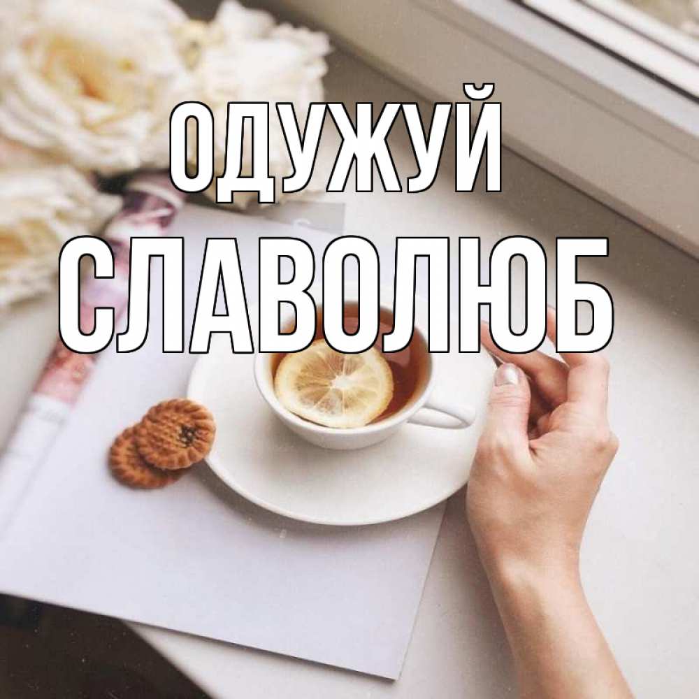 Открытка на каждый день з підписом, Славолюб Одужуй и печеньками Прикольна листівка з побажанням онлайн скачати безкоштовно 