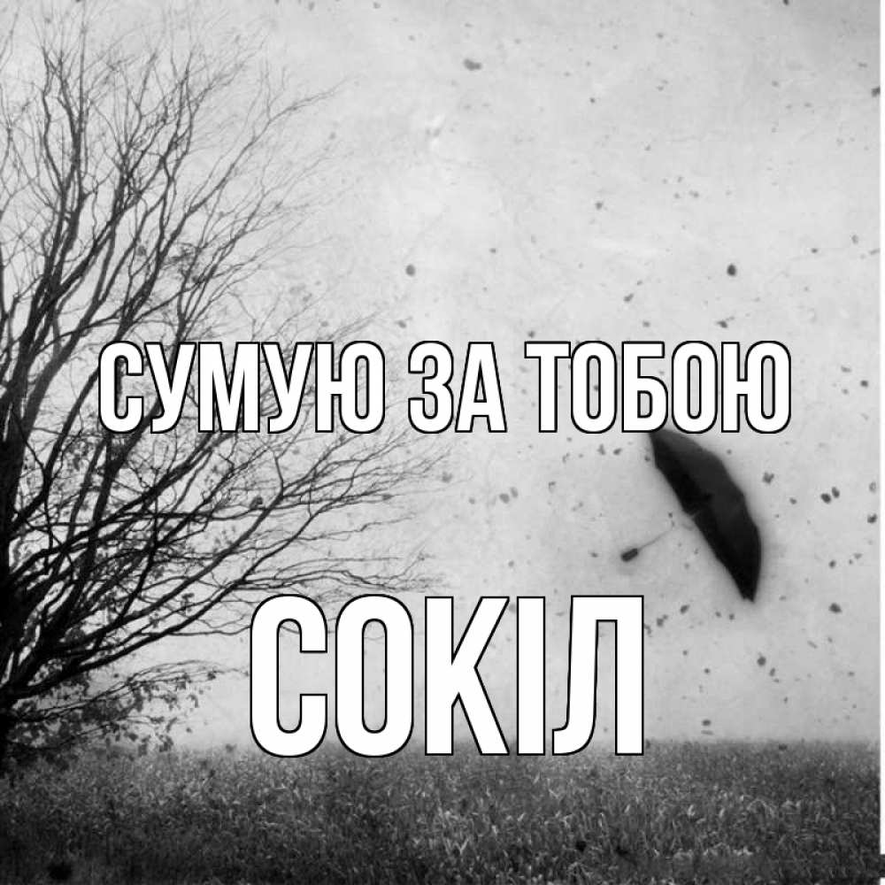Открытка на каждый день з підписом, Сокіл Сумую за тобою зонт летит Прикольна листівка з побажанням онлайн скачати безкоштовно 