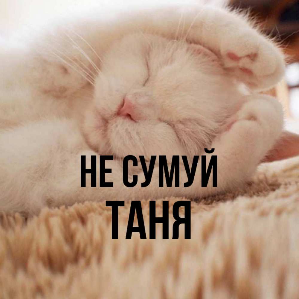 Открытка на каждый день з підписом, Таня Не сумуй Котенок спит Прикольна листівка з побажанням онлайн скачати безкоштовно 