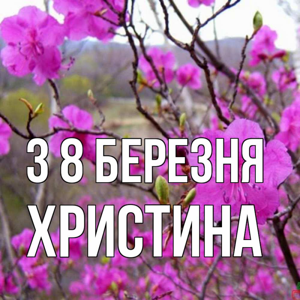 Открытка на каждый день з підписом, Христина З 8 БЕРЕЗНЯ международный женский день Прикольна листівка з побажанням онлайн скачати безкоштовно 