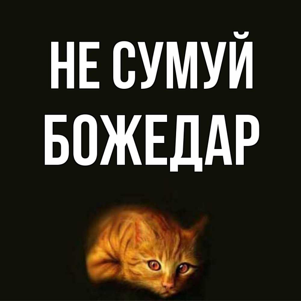 Открытка на каждый день з підписом, Божедар Не сумуй лежащий кот в темноте Прикольна листівка з побажанням онлайн скачати безкоштовно 