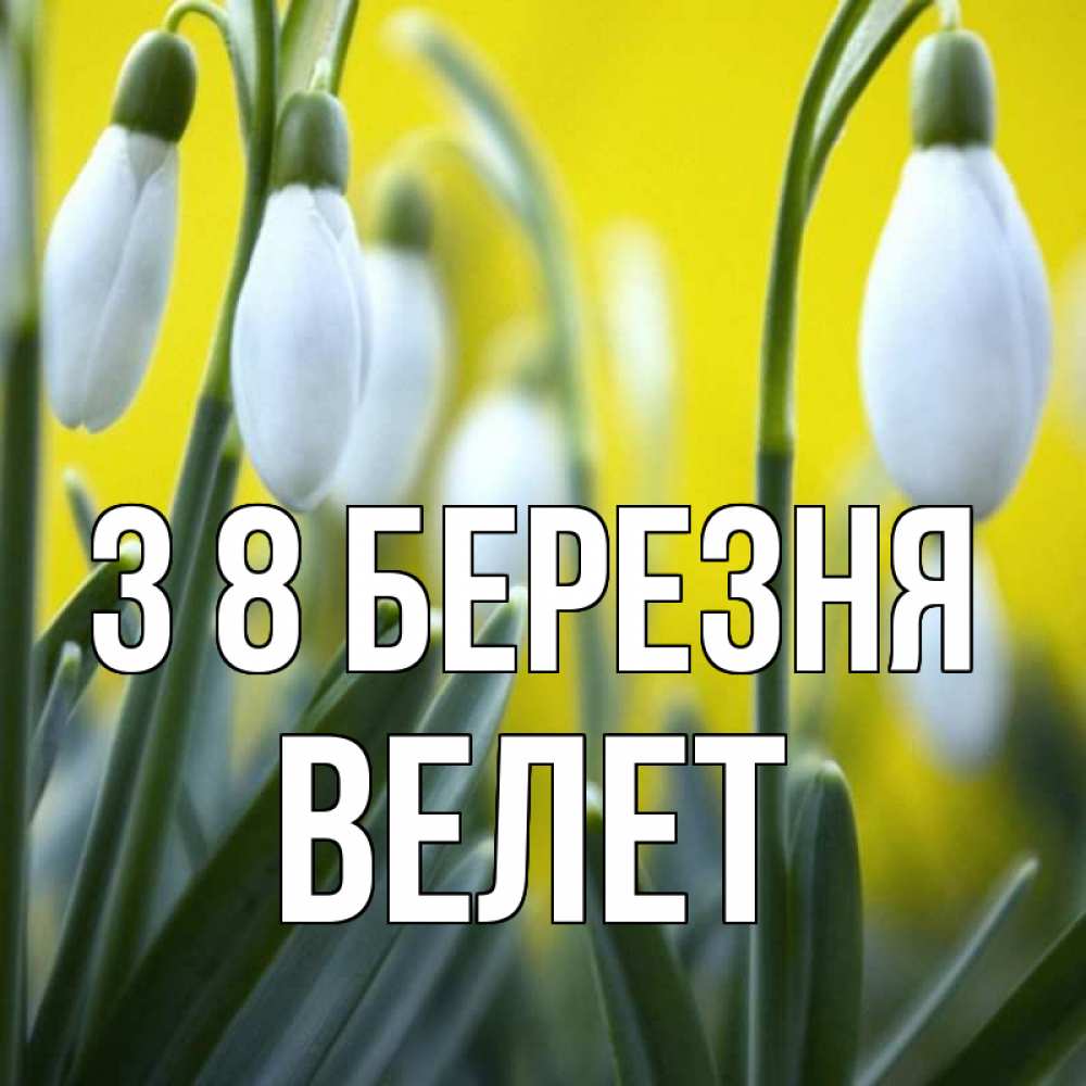 Открытка на каждый день з підписом, Велет З 8 БЕРЕЗНЯ весенние цветы Прикольна листівка з побажанням онлайн скачати безкоштовно 