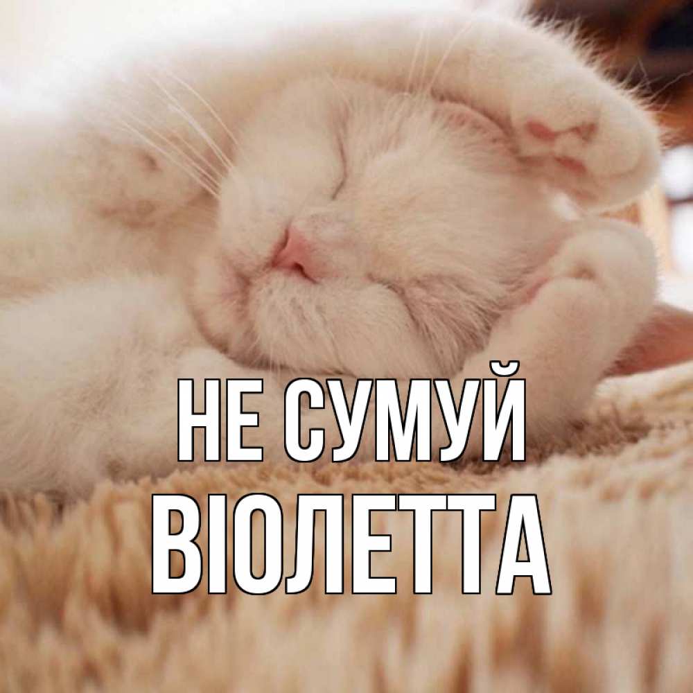 Открытка на каждый день з підписом, Віолетта Не сумуй белый кот Прикольна листівка з побажанням онлайн скачати безкоштовно 