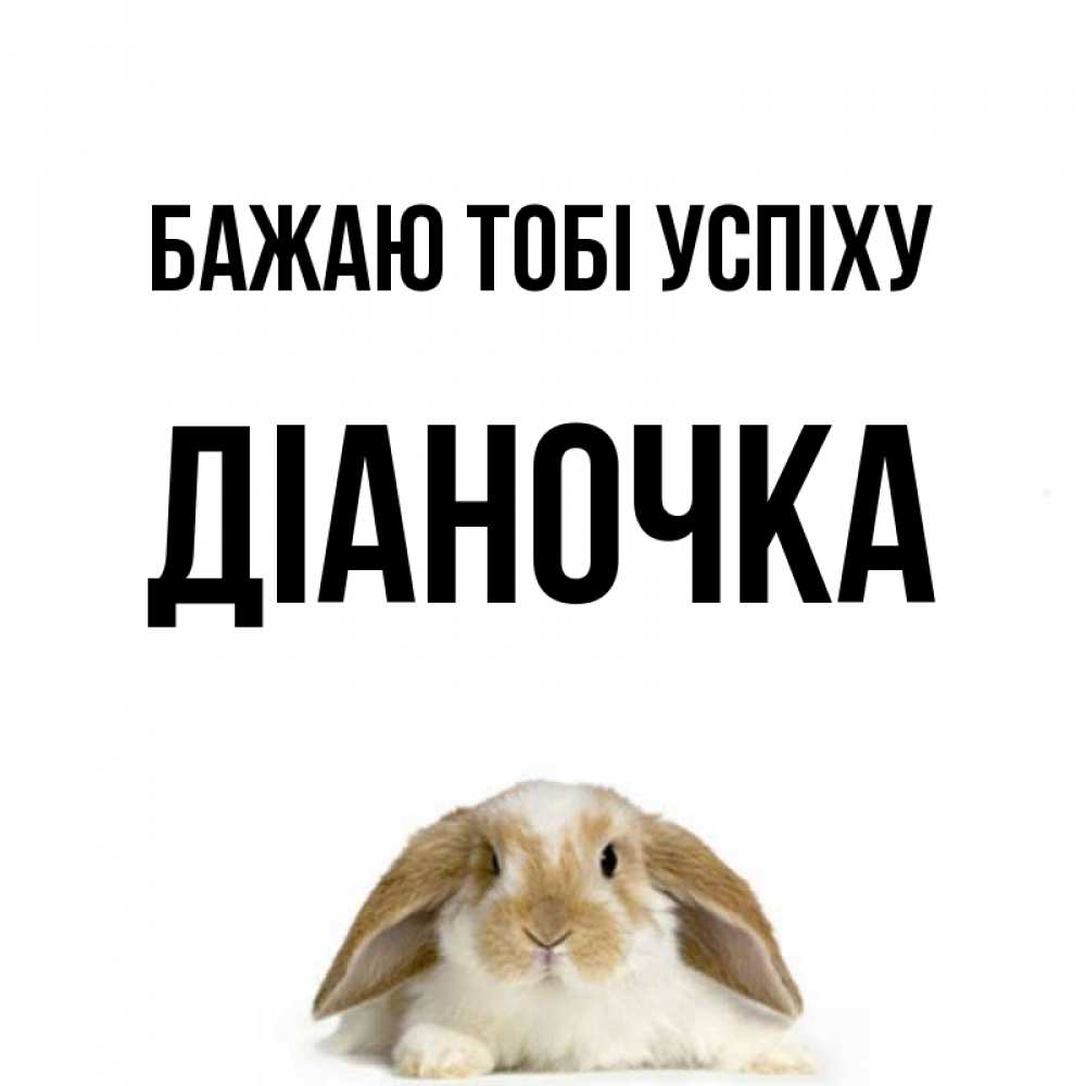 Открытка на каждый день з підписом, Діаночка Бажаю тобі успіху открытки с произвольным текстом который можно вставить в открытку и создать ее самостоятельно бесплатно онлайн Прикольна листівка з побажанням онлайн скачати безкоштовно 