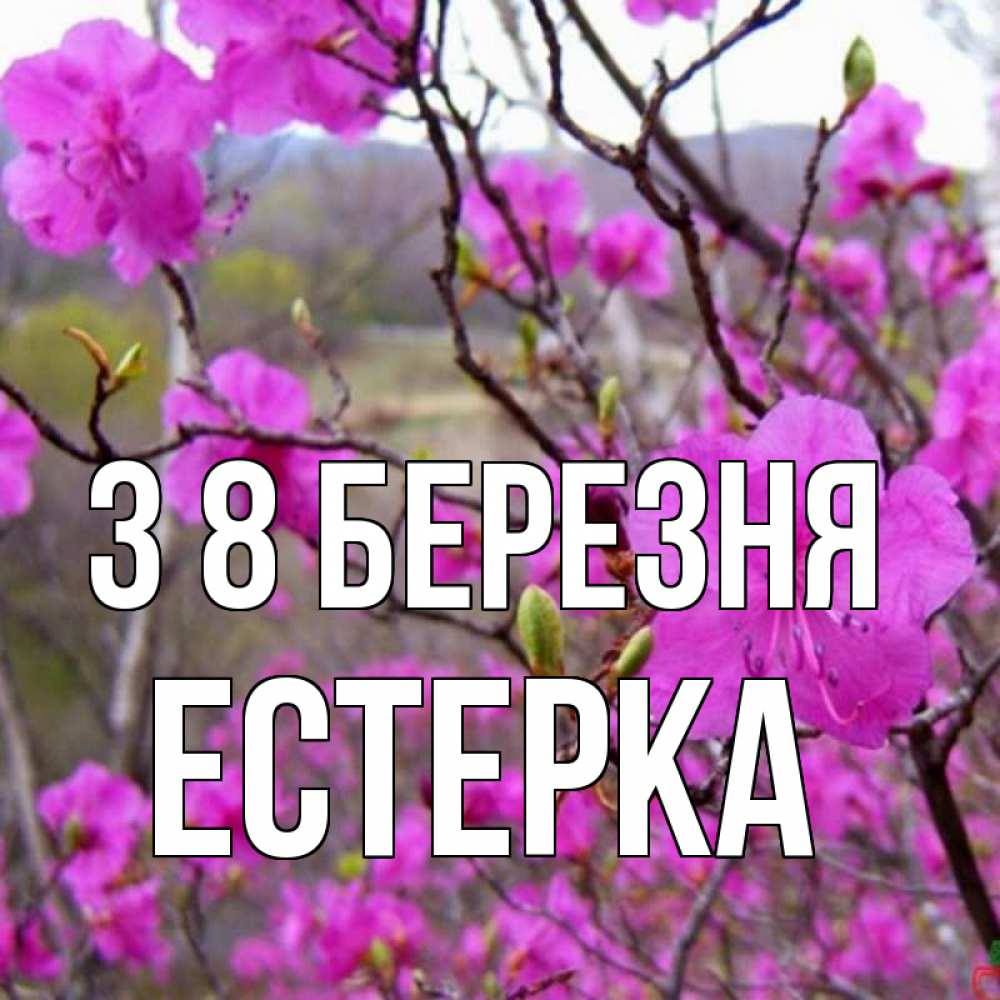 Открытка на каждый день з підписом, Естерка З 8 БЕРЕЗНЯ международный женский день Прикольна листівка з побажанням онлайн скачати безкоштовно 